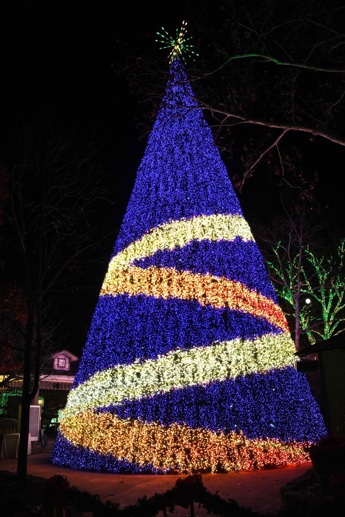 166 The 80-foot tree changed designs and colors throughout the evening.jpg